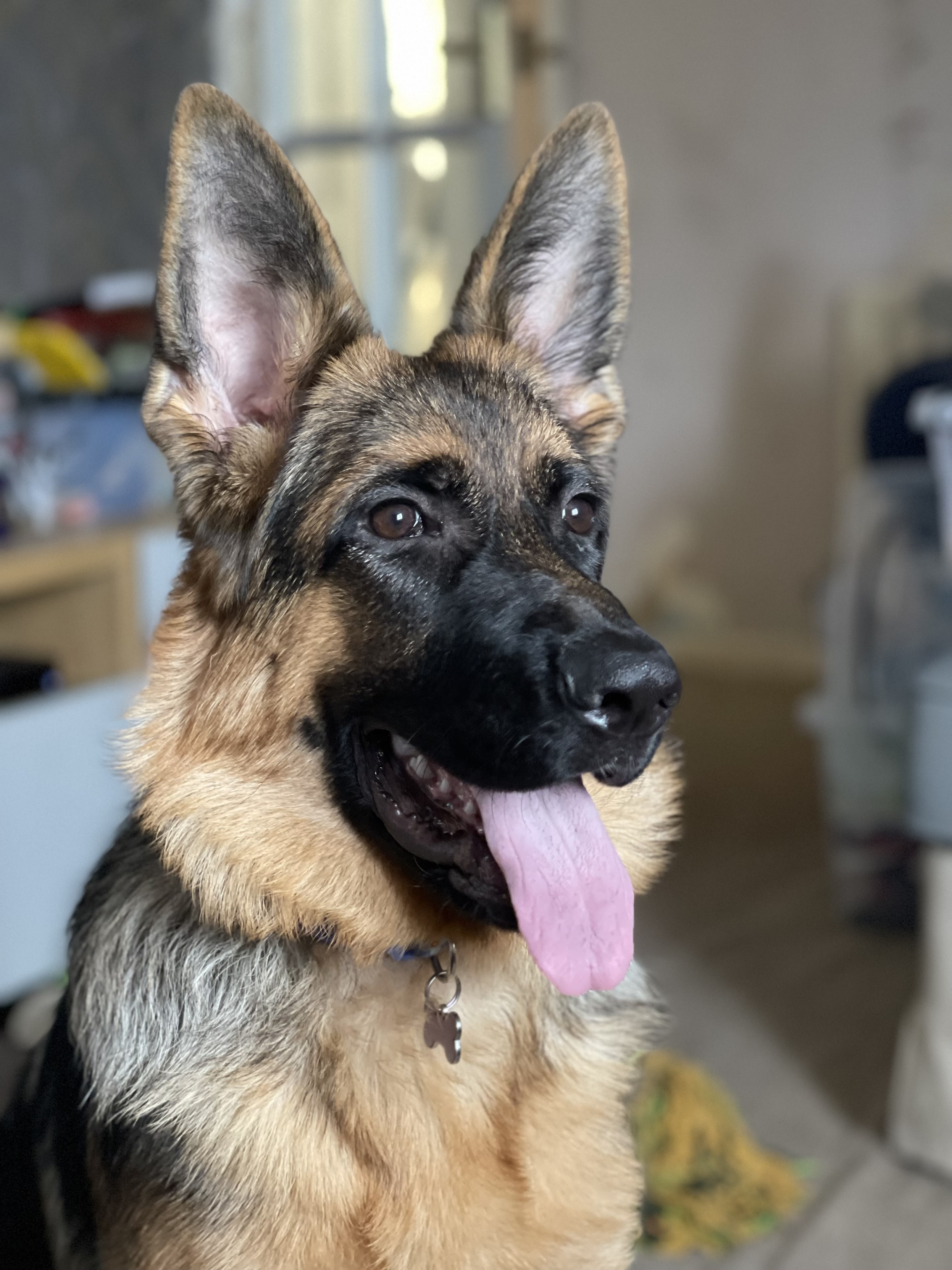 Link Preview Image